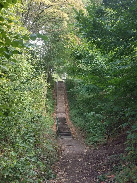 Steile Holztreppe durch die Weinberge bei Groß-Umstadt