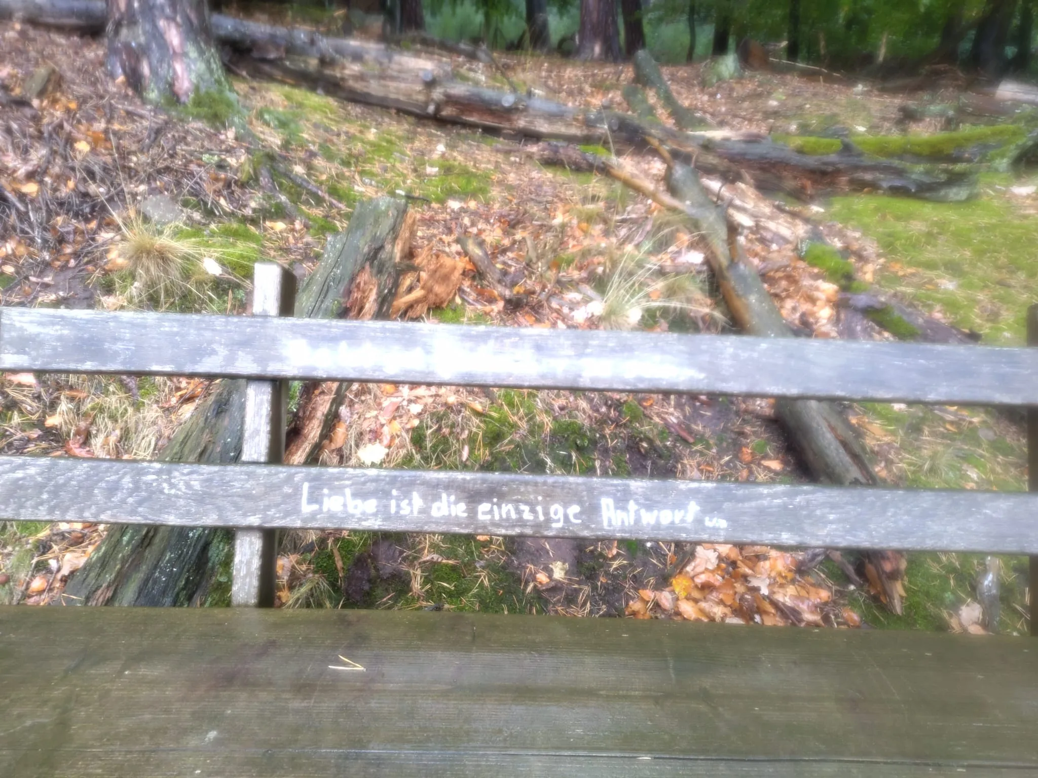 Parkbank mit dem Schriftzug „Liebe ist die einzige Antwort“
