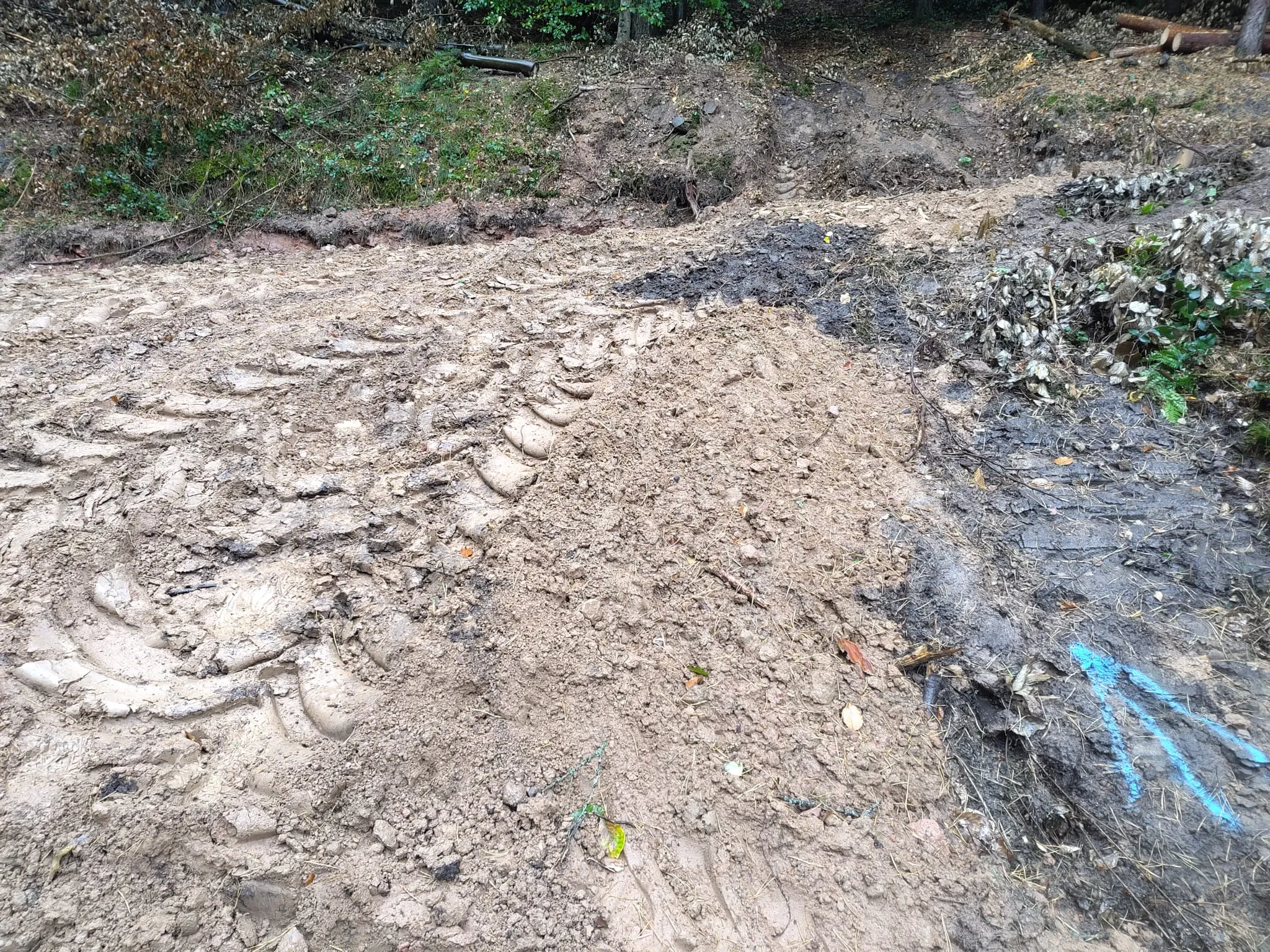 Aufgewühlter, matschiger Waldweg mit Reifenspuren und blauer Streckenmarkierung